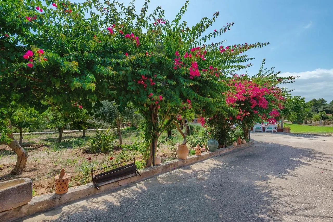 Can Calafat Santa Margalida